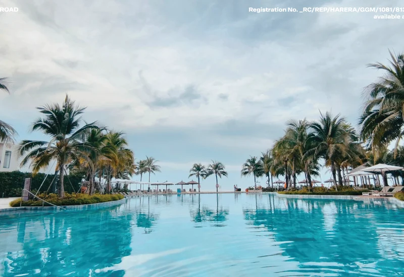 Pool framed by palm trees, illustrating the Beach Club at Godrej Verano